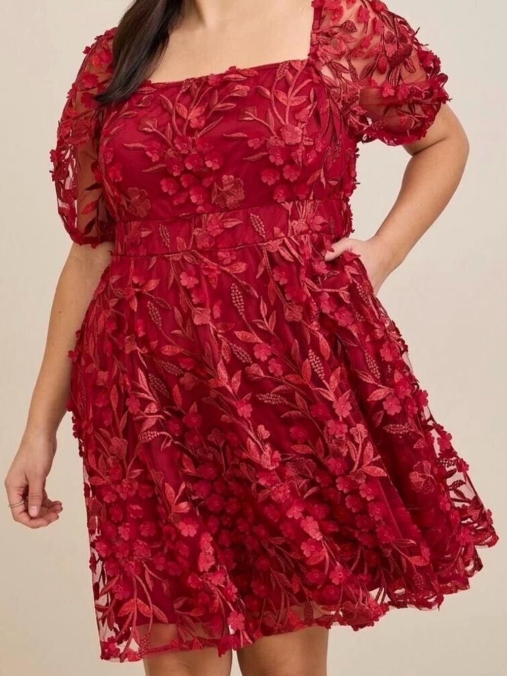 Torrid Red Floral Embroidered Mesh Dress